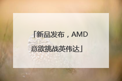新品发布，AMD意欲挑战英伟达