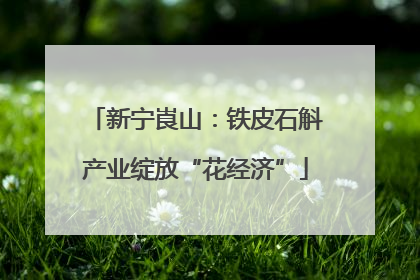 新宁崀山：铁皮石斛产业绽放“花经济”