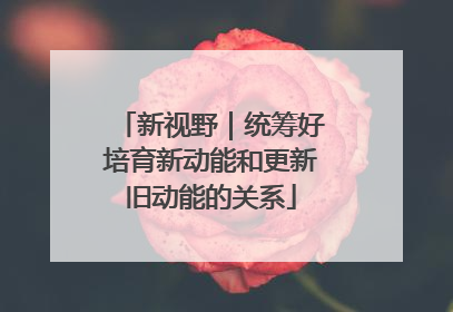 新视野｜统筹好培育新动能和更新旧动能的关系