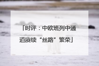 时评：中欧班列中通道赓续“丝路”繁荣