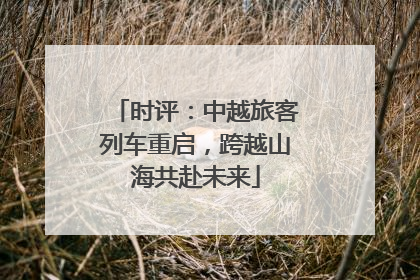 时评：中越旅客列车重启，跨越山海共赴未来