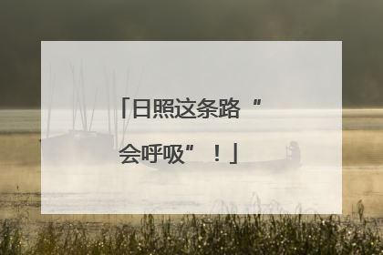 日照这条路“会呼吸”！