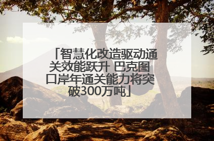 智慧化改造驱动通关效能跃升 巴克图口岸年通关能力将突破300万吨