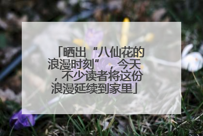 晒出“八仙花的浪漫时刻”，今天，不少读者将这份浪漫延续到家里