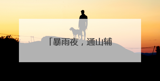 暴雨夜，通山辅警邱荣华纵身跃入深渠防汛排险