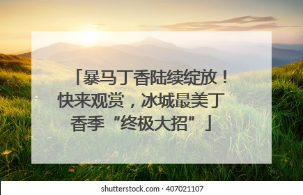 暴马丁香陆续绽放！快来观赏，冰城最美丁香季“终极大招”
