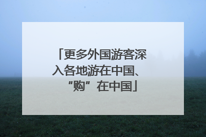 更多外国游客深入各地游在中国、“购”在中国