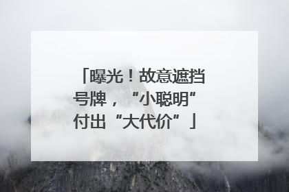 曝光！故意遮挡号牌，“小聪明”付出“大代价”