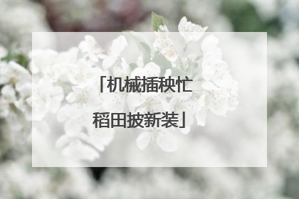 机械插秧忙 稻田披新装