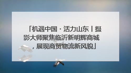 机遇中国・活力山东丨摄影大师聚焦临沂新明辉商城，展现商贸物流新风貌