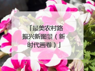 最美农村路 振兴新图景（新时代画卷）