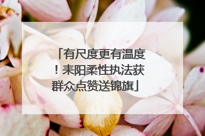 有尺度更有温度！耒阳柔性执法获群众点赞送锦旗