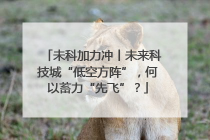 未科加力冲丨未来科技城“低空方阵”，何以蓄力“先飞”？