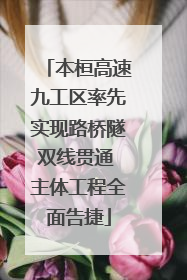 本桓高速九工区率先实现路桥隧双线贯通 主体工程全面告捷