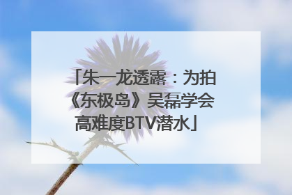 朱一龙透露：为拍《东极岛》吴磊学会高难度BTV潜水