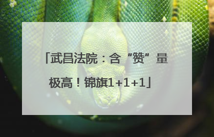 武昌法院：含“赞”量极高！锦旗1+1+1