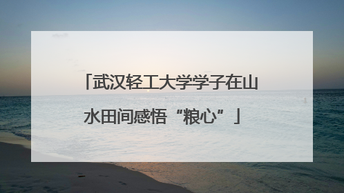 武汉轻工大学学子在山水田间感悟“粮心”