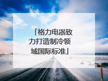 格力电器致力打造制冷领域国际标准