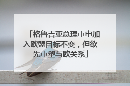 格鲁吉亚总理重申加入欧盟目标不变，但欲先重塑与欧关系