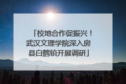 校地合作促振兴！武汉文理学院深入房县白鹤镇开展调研