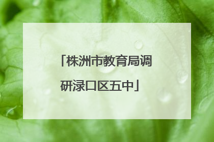 株洲市教育局调研渌口区五中