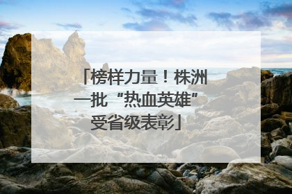 榜样力量！株洲一批“热血英雄”受省级表彰