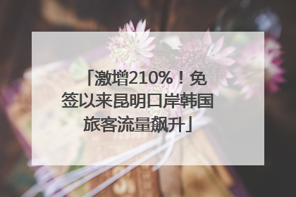 激增210%！免签以来昆明口岸韩国旅客流量飙升