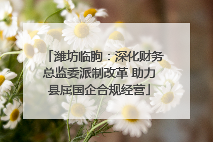 潍坊临朐：深化财务总监委派制改革 助力县属国企合规经营