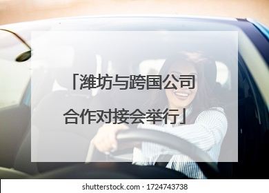 潍坊与跨国公司合作对接会举行