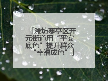 潍坊寒亭区开元街道用“平安底色”提升群众“幸福成色”