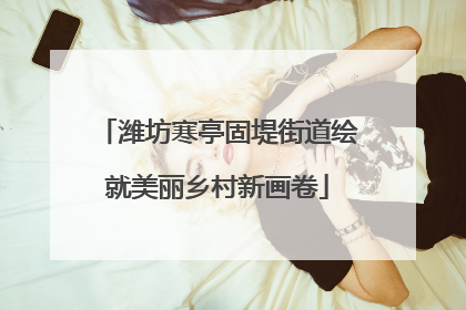 潍坊寒亭固堤街道绘就美丽乡村新画卷