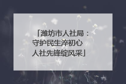 潍坊市人社局：守护民生淬初心 人社先锋绽风采