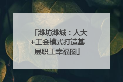 潍坊潍城：人大+工会模式打造基层职工幸福圈