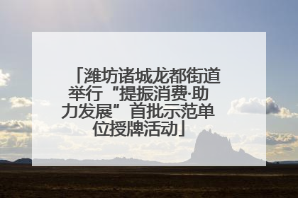 潍坊诸城龙都街道举行“提振消费·助力发展”首批示范单位授牌活动