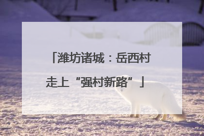 潍坊诸城：岳西村走上“强村新路”