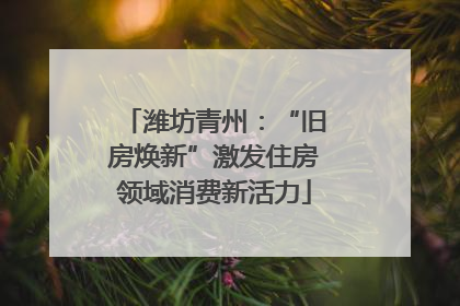 潍坊青州：“旧房焕新”激发住房领域消费新活力