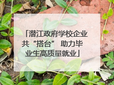 潜江政府学校企业共“搭台” 助力毕业生高质量就业
