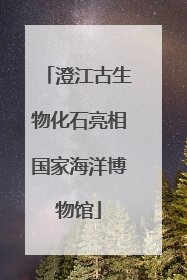 澄江古生物化石亮相国家海洋博物馆
