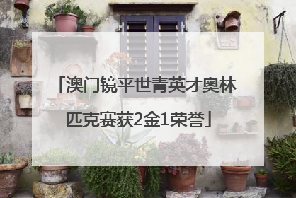 澳门镜平世青英才奥林匹克赛获2金1荣誉