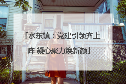 水东镇：党建引领齐上阵 凝心聚力焕新颜