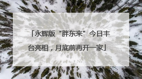 永辉版“胖东来”今日丰台亮相，月底前再开一家