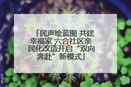 民声绘蓝图 共建幸福家 六合社区亲民化改造开启“双向奔赴”新模式