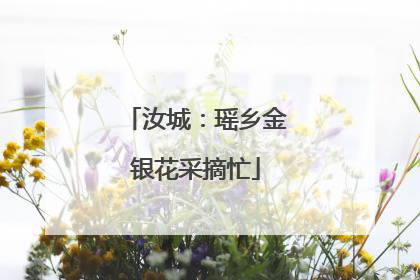 汝城：瑶乡金银花采摘忙