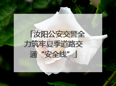 汝阳公安交警全力筑牢夏季道路交通“安全线”