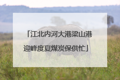 江北内河大港梁山港迎峰度夏煤炭保供忙