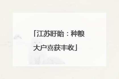 江苏盱眙：种粮大户喜获丰收