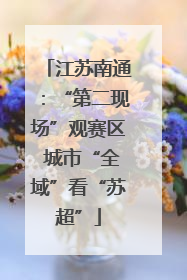 江苏南通：“第二现场”观赛区 城市“全域”看“苏超”