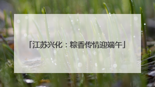 江苏兴化：粽香传情迎端午