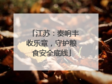 江苏：奏响丰收乐章，守护粮食安全底线