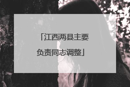 江西两县主要负责同志调整